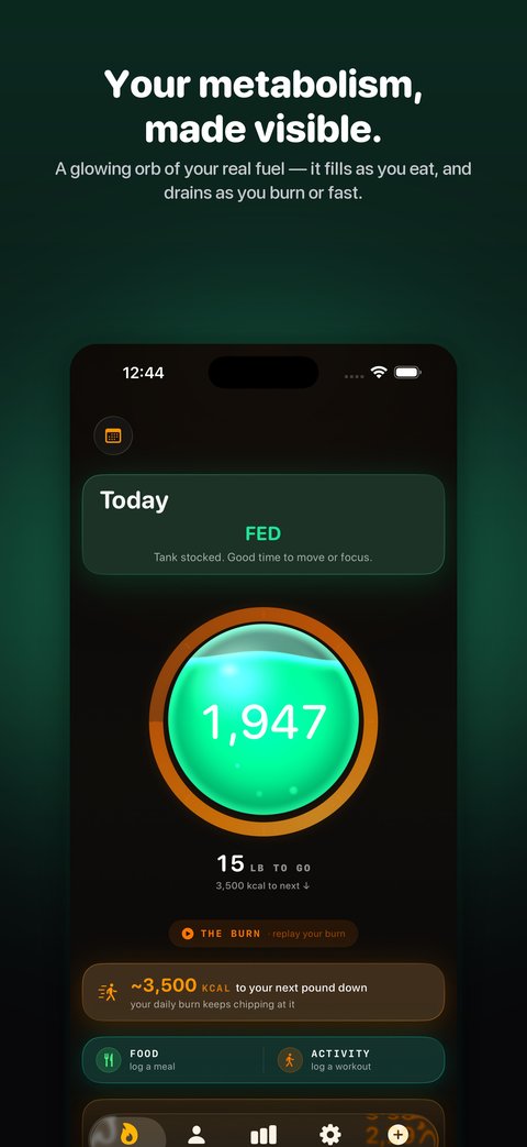 RESERVE orb — Your metabolism, made visible