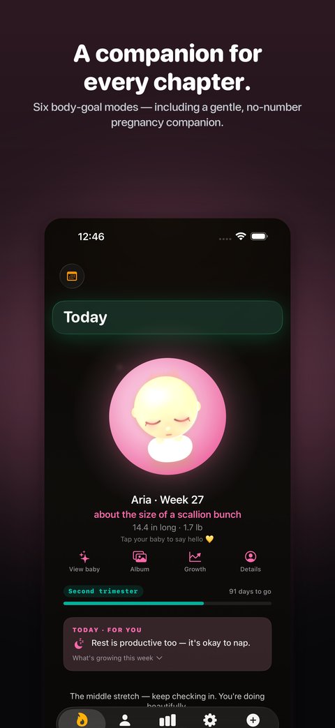RESERVE pregnancy mode — A companion for every chapter