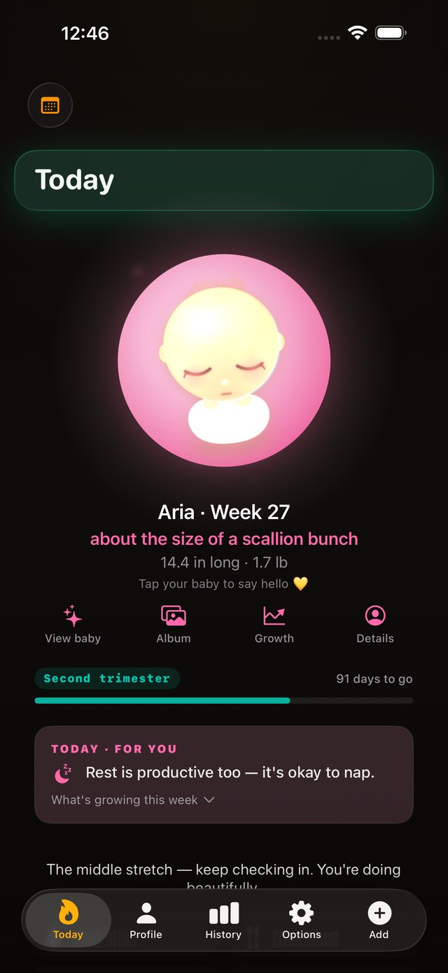 RESERVE pregnancy mode: the baby orb at week 27